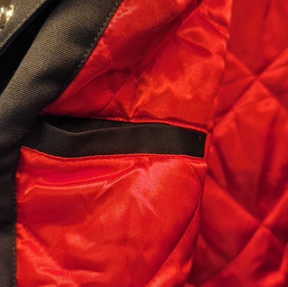 BNWT Toronto Raptors Championship Varsity Jacket - Picture 9 of 9